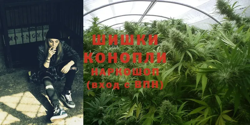 Марихуана White Widow  hydra зеркало  Касли  купить наркоту 